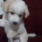 Erick Balbuena - Facebook