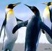 Erik Balchunas - Facebook