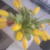 Eric Baldassari - @ericbaldassari - TikTok