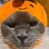 ericprivateaccount - @eric_ball - TikTok