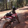 Eric Ballou285 - @ethillbilly - TikTok