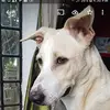 eric baloy - @ericbaloygmail - TikTok