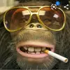 ericbatzel - @ericbatzel - TikTok