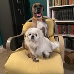 Eric Bane - @ericbane - Instagram