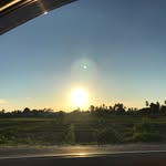 Eric Bane - @bane_eric - Instagram