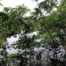 Eric Barahona - Facebook