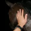 erickbarahona24 - @erickbarahona24 - TikTok