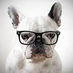 Éric Barattini - @ericbarattini - Instagram