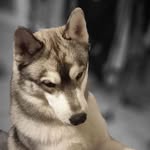 Éric Eric - @eric.barat.52 - Instagram