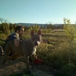 Eric Barba - @ericbarbaaliaga - Instagram