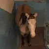 BeReal Hotwheel - @eric_barcadi_lemon_drops - TikTok