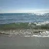 ericbardon915 - @ericbardon915 - TikTok