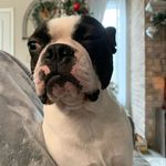 Eric C. Barley - @ecbarley415 - Instagram
