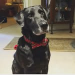 Eric Barrette - @theeric999 - Instagram