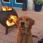 Eric Bartel - @icehawks44 - Instagram