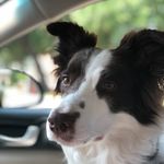 Eric L. Bashore II - @lucilleroselyngrace - Instagram