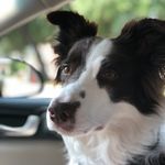 Eric Lee Bashore - @ericbashore - Instagram