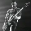 ERIC BASS - @eric.bass03 - TikTok