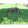 eric baucom266 - @ericbaucom - TikTok