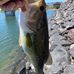Eric Bauman - Facebook