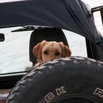 Eric Bauman - @hojobauman - Instagram