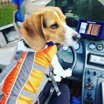 Eric Bauman - @e_bauman - Instagram