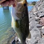 Eric Bauman - @eric.bauman.50 - Instagram