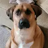 ericbaumgartner83 - @ericbaumgartner83 - TikTok
