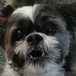 Eric Bayne - @drunkeyk0ngish - Instagram