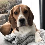 @ericbeagle2017 - Instagram
