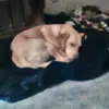 ericbeatty161 - @ericbeatty161 - TikTok