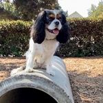 Eric Becker - @_ericbecker - Instagram