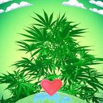 Eric Beckwith - @eric.beckwith.79 - Instagram