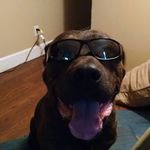 Eric Bedard - @eric.bedard.967 - Instagram