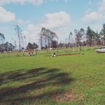 Eric Jonathan Muñoz Beecher - @ericjonathanmunozbeecher - Instagram