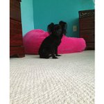 Eric Beers - @ileetsta - Instagram