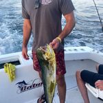 Eric Begley - @eric_begley_ - Instagram