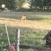 Eric Beier - Facebook