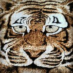 Eric Bellamy - @dutchmaster6955 - Instagram