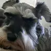 ericbeller297 - @ericbeller297 - TikTok