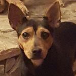 Eric Benfield - @benfield7808 - Instagram