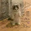 Eric Benjamin - @eric.benjamin4 - TikTok