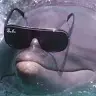 Eric Berkley - @eric.berkley - TikTok