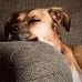 Eric Bertram - Facebook