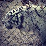Eric Besse - @ericbesse2 - Instagram