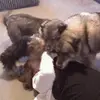 ericbetts125 - @ericbetts125 - TikTok