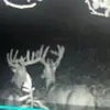 ericbetts36 - @eric.betts76 - TikTok