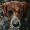 Eric_Betz - @eric_betzz - TikTok