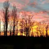 ericjbier - @ericjbier - TikTok