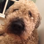Eric Biesecker - @ericbiesecker - Instagram